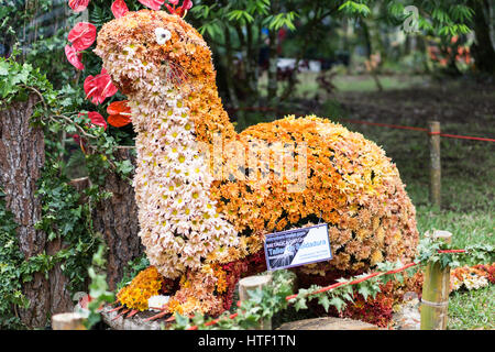 Parada de Las Flores Stockfoto