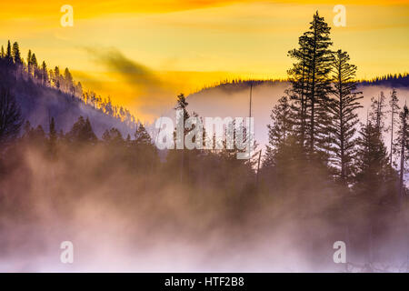 Madison River im Yellowstone-Nationalpark, Wyoming, USA Stockfoto