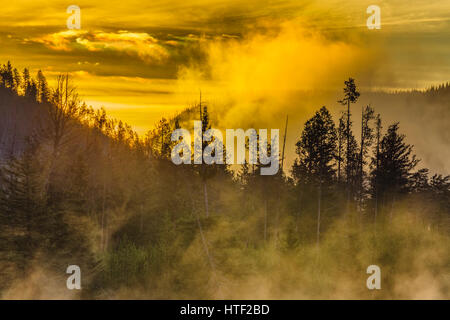 Madison River im Yellowstone-Nationalpark, Wyoming, USA Stockfoto