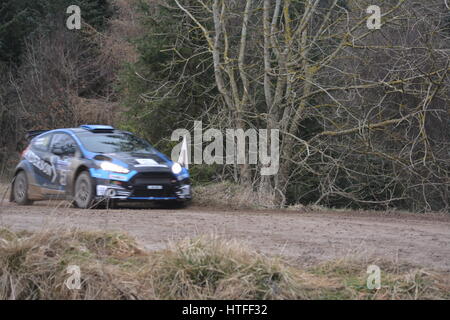 Ford Focus Rallye-Auto auf der Malcolm Wilson Rallye Stockfoto