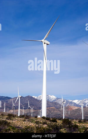 Windmühle Bauernhof in Palm Desert in der Nähe von Palm Springs, Kalifornien Stockfoto