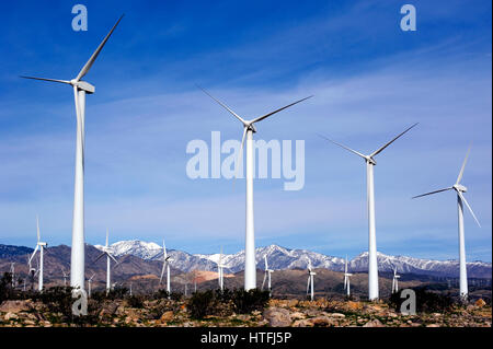 Windmühle Bauernhof in Palm Desert in der Nähe von Palm Springs Stockfoto