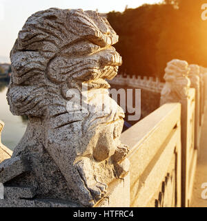 Antike lebendig steinernen Löwen auf der Brücke in Peking, China Stockfoto