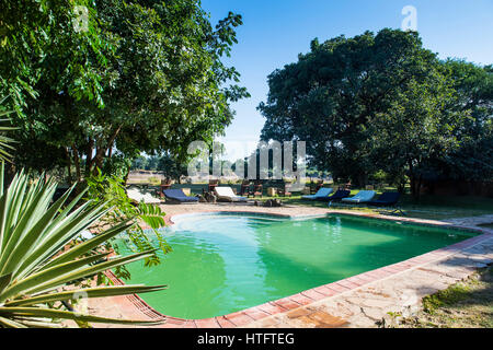 Schwimmbad am Luangwa River, South Luangwa Nationalpark, Sambia, Afrika Stockfoto