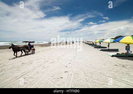 Pferdefuhrwerk vorbei an einer Reihe von bunten Sonnenschirmen am Strand Parangtritis in Zentraljava, Indonesien Stockfoto