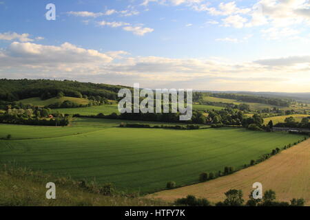 Ein Blick auf Wiltshire Landschaft, Wälder und Felder im Sommer. Stockfoto