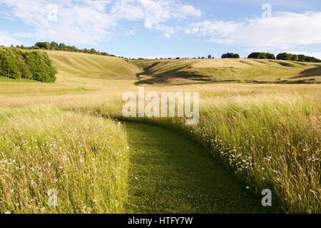 Gras Wiesen und Pfad in Rolling Landschaft von Wiltshire im Sommer Sonnenschein Stockfoto