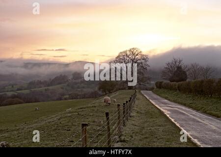 Bei Sonnenuntergang nach einem schweren Gewitter in North Yorkshire Moors aufsteigenden Nebel. Stockfoto