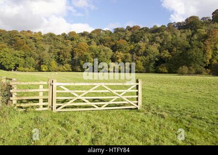 Someones genommen Handlung! Ein Tor in eine Rasenfläche mit Wald dahinter, aber ohne Zaun neben dem Tor. Stockfoto