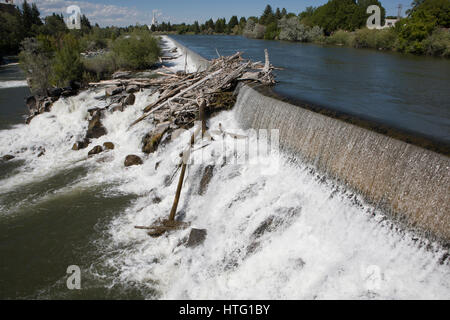 Schäumende Wildwasser gießt über Flusswehr und Idaho Falls am Snake River, Idaho Falls, ID Stockfoto