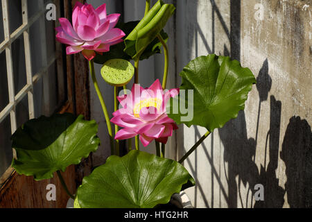 Künstliche Blume, handgemachte Lotusblüte aus grünen Blättern und rosa Blütenblätter machen aus Ton, diy Art Produkt für Heimtextilien Stockfoto