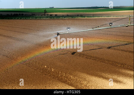 landwirtschaftliche, Landwirtschaft, Center, Land, Ernte, ernten, Bauernhof, Landwirtschaft, Bauernhöfe, Feld, Felder, Getreide, Körner, grün, wachsen, wachsen, Erde, Wasser, Stockfoto