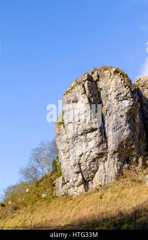 die Klippen von Cheddar Gorge Somerset England UK Stockfoto