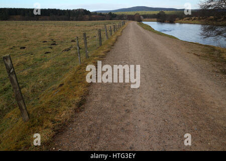 Pfad entlang des Flusses Spey - in der Nähe von Cromdale - Speyside Way - Highlands - Schottland - UK Stockfoto