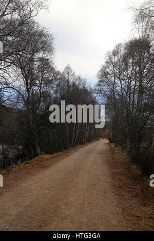 Pfad entlang des Flusses Spey - in der Nähe von Cromdale - Speyside Way - Highlands - Schottland - UK Stockfoto