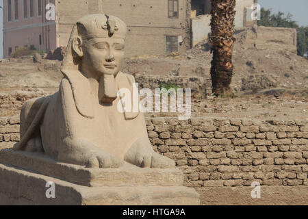 Allee der Sphinxe in der Luxor-Tempel-Komplex in Ägypten Stockfoto