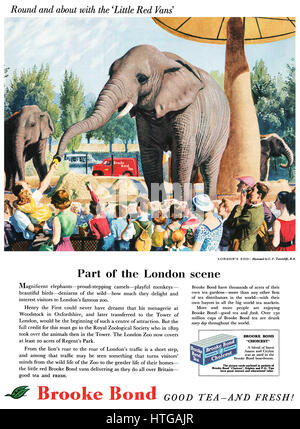 1959 britische Werbung für Brooke Bond Tee, mit einer Abbildung der Elefanten im Londoner Zoo von C.F. Tunnicliffe. Stockfoto