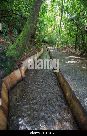 Wasser führt zu Mingus Mill, Great Smoky Mountains National Park Raceway. Stockfoto