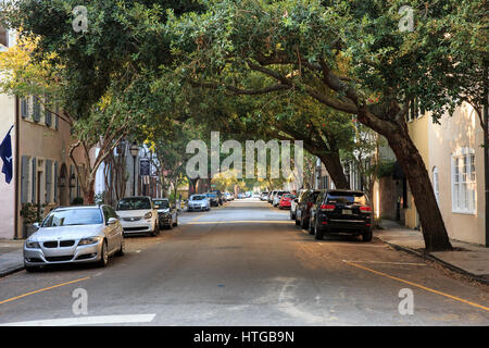 Von Bäumen gesäumten Straße in der historischen Wohngegend von Charleston. South Carolina Stockfoto