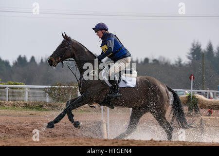 Tweseldown, UK. 11. März 2017. Das Pferd Prüfungen bei Tweseldown.Zara Tindall Reiten Schloss Black II bei Tweseldown Horse Trials Credit: Scott Carruthers/Alamy Live-Nachrichten Stockfoto