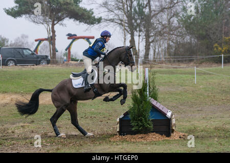 Tweseldown, UK. 11. März 2017. Die Horse Trials bei Tweseldown.Zara Tindall Gladstone bei Tweseldown Pferd Reiten Studien Kredit: Scott Carruthers/Alamy Live-Nachrichten Stockfoto