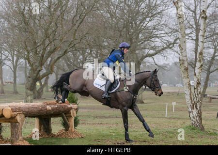 Tweseldown, UK. 11. März 2017. Die Horse Trials bei Tweseldown.Zara Tindall Gladstone bei Tweseldown Pferd Reiten Studien Kredit: Scott Carruthers/Alamy Live-Nachrichten Stockfoto