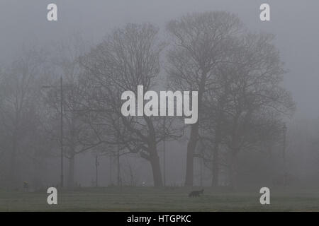 Wimbledon London, UK. 15. März 2017. Wimbledon Common bedeckt im frühen Morgennebel Credit: Amer Ghazzal/Alamy Live-Nachrichten Stockfoto