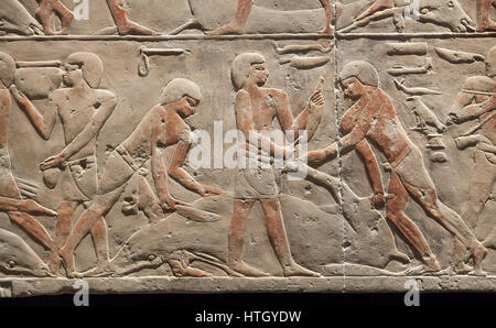 Rinder Schlachten Szene. Ägyptischer Kalkstein Relief von Sakkara, ca. 2300 v. Chr., 5-6. Dynastie, altes Reich des alten Ägypten, auf dem Display im Staatliches Museum Agyptischer Kunst (staatliche Museum für ägyptische Kunst) in München, Bayern, Deutschland. Stockfoto