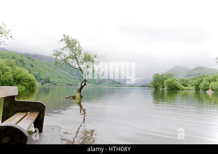 Bank neben der Lagunen, Llanberis, Nordwales Stockfoto