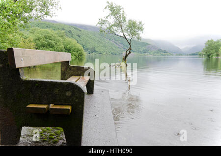 Bank neben der Lagunen, Llanberis, Nordwales Stockfoto