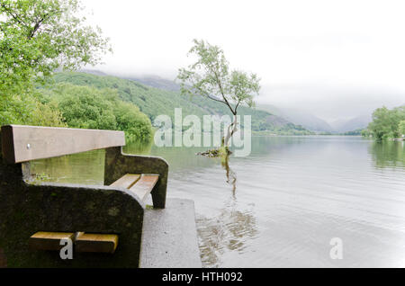 Bank neben der Lagunen, Llanberis, Nordwales Stockfoto