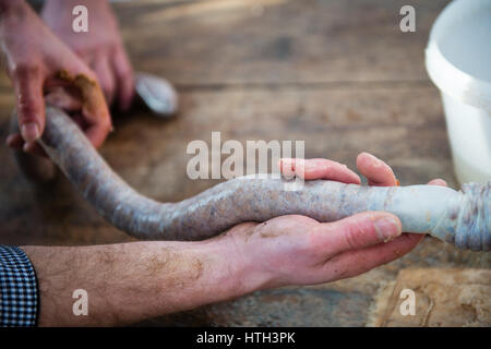 Detailansicht der Wurst Fleisch Wurst Haut einfüllen Stockfoto