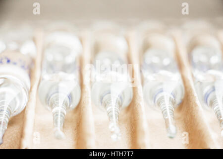 Reihe von transparenten medizinischen Ampullen im Paket. Nahaufnahme Stockfoto