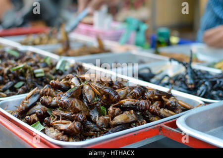 Gebratene Insekten verkauft in den Straßen von Bangkok, Thailand Stockfoto