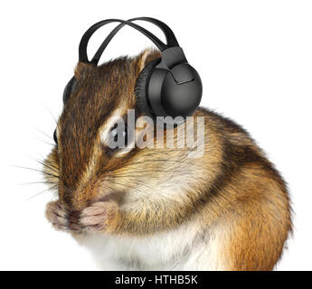 Lustige Tier Chipmunk Musik hören mit Kopfhörern, isoliert auf weiss Stockfoto