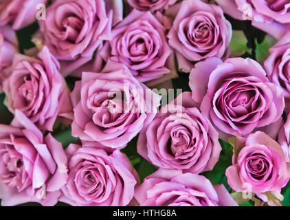 Einen großen Strauß von schönen Rosen, Nahaufnahme, Ansicht von oben. Stockfoto