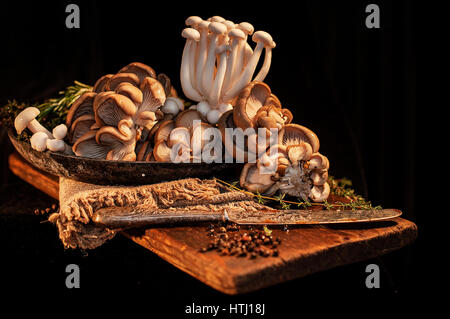 gemischte rohe orientalische Pilze einschließlich Austern- und Shimeji auf einer Pfanne zu Hause Stockfoto