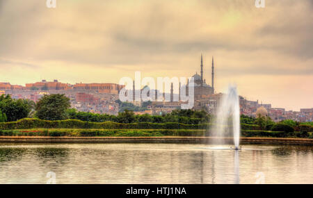 Blick auf die Zitadelle mit Muhammad-Ali-Moschee von Al-Azhar-Park - Kairo, Ägypten Stockfoto