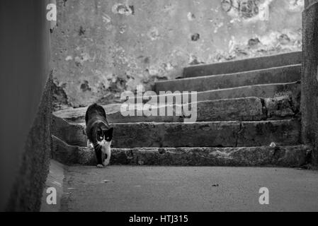Brücke über die Drau mit einem Brunnen Stockfoto
