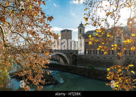 Zweige der trockene Blätter auf Tiber durch Rom, Italien Stockfoto