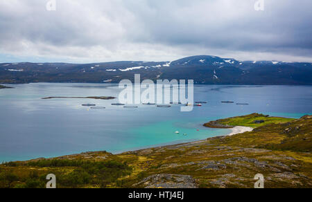 Bauernhof Lachs Fischen in Norwegen Stockfoto