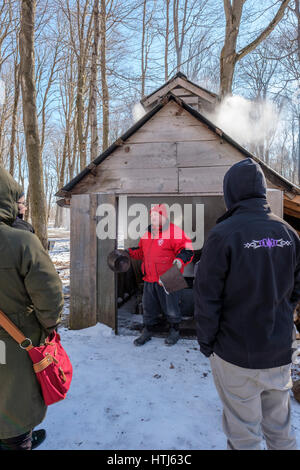 Ein Freiwilliger erklärt, wie Ahornsirup früher vor einer Holzzuckerhütte in den Verwandten Fanshawe Sugar Bush in London, Ontario, Kanada hergestellt wurde. Stockfoto