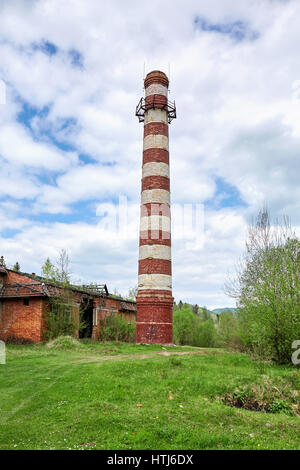 Gestreifte Schornstein-Stiel auf dem grünen Rasen. Stockfoto