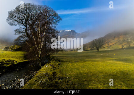 Dovedale im englischen Lake District im frühen Frühjahr Stockfoto