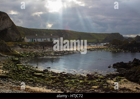 Der kleine Hafen von Ballintoy auf der North Antrim Küste Nordirlands mit seinen Stein gebaut Bootshaus im Meer reflektieren Stockfoto