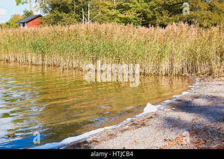 Holz Hütte bei Natur- und Kieselstrand, Grinda, Stockholmer Schären, Schweden, Skandinavien Stockfoto