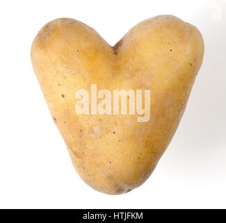 Herzförmige Kartoffeln auf weißem Hintergrund. Essbare Knolle von Nachtschatten Solanum Tuberosum, eine stärkehaltige Ernte. Isolierte Makrofoto Essen Nahaufnahme von oben. Stockfoto