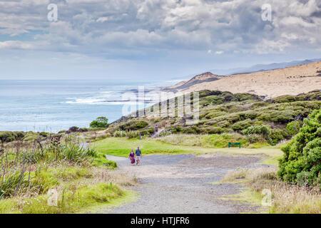 Coastal Walk Arai-Te-Uru Erholung Reserve im Omapere in Neuseeland Stockfoto