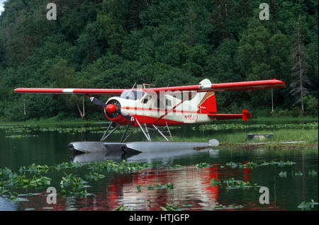 Flugzeug (Pontoon Plane) bei Wolverine Creek, Cook Inlet, Redoubt Bay, Alaska zu schweben Stockfoto