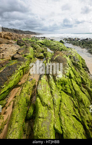 Brou Strand und seine atemberaubende Felsformationen bedeckt in Grünalgen, Sapphire Coast, New-South.Wales, NSW, Australien Stockfoto